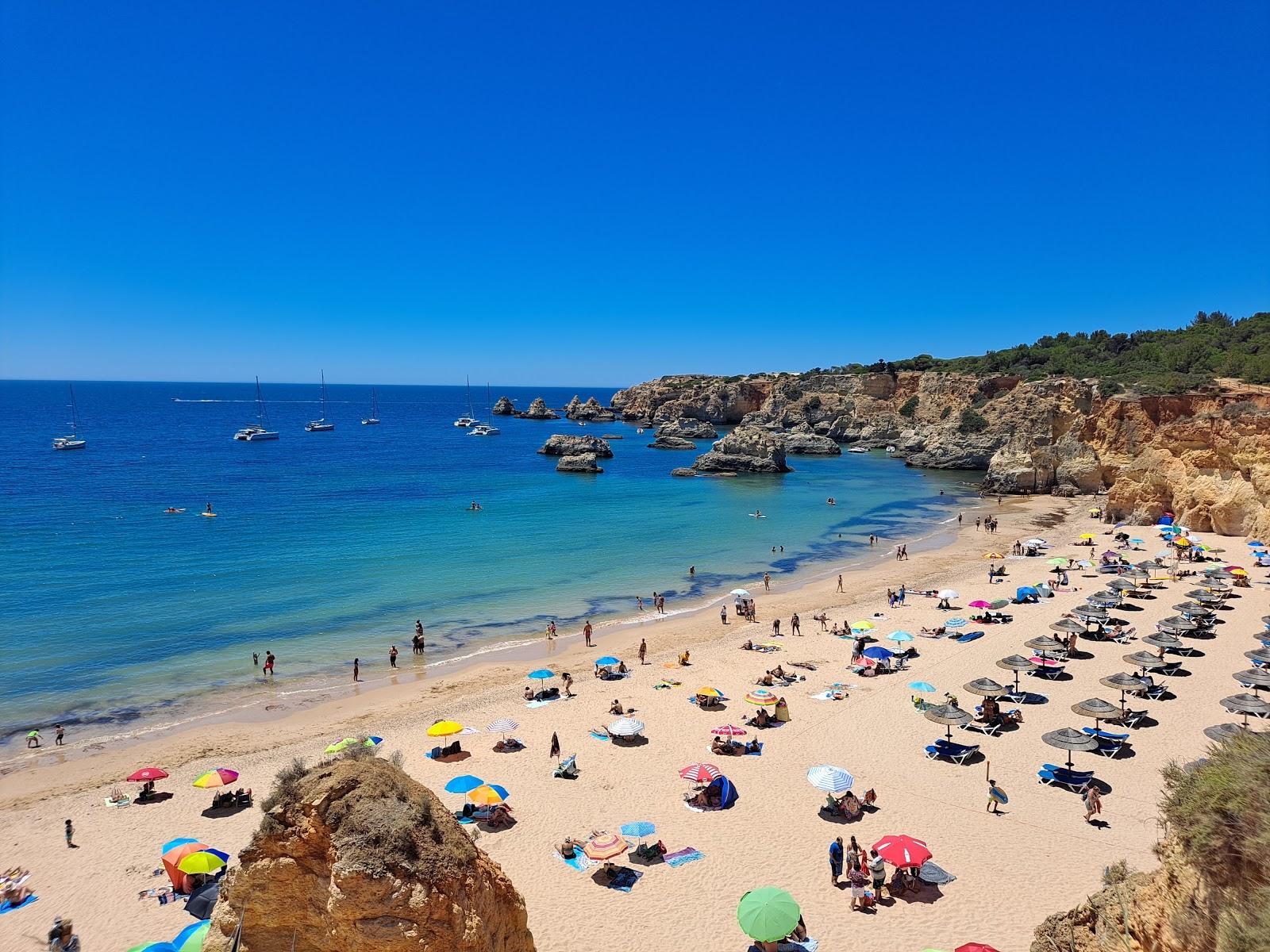Sandee Praia Do Alemao