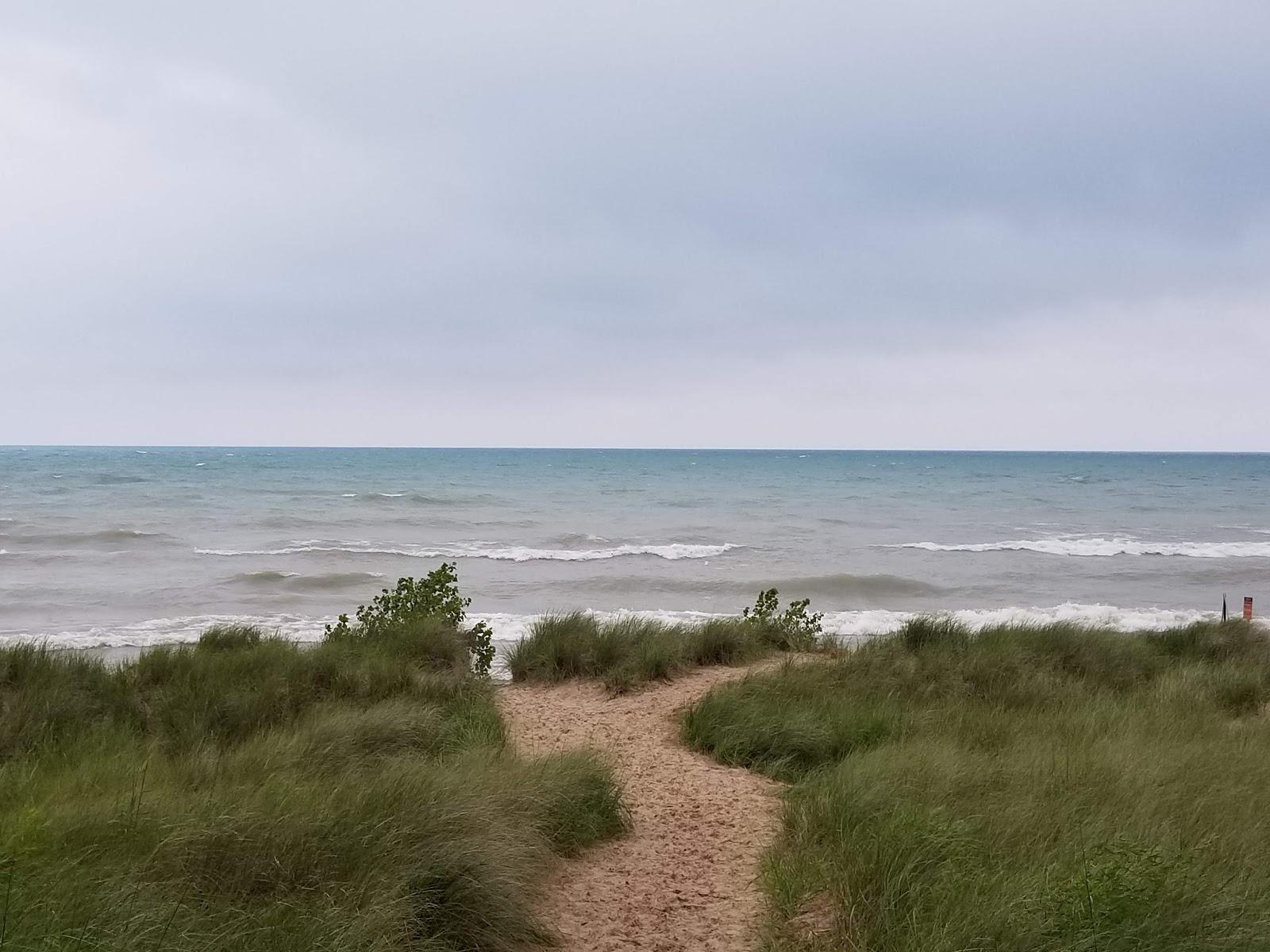 Sandee Elmwood Dunes Preserve
