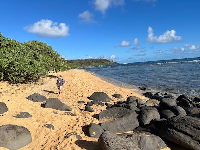 Sandee - Aliomanu Beach 