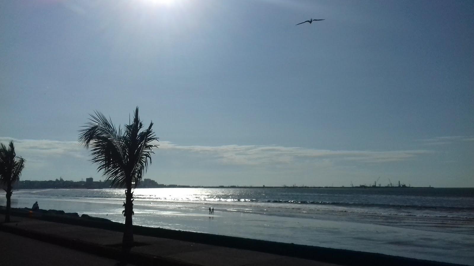 Sandee Pedernales Beach