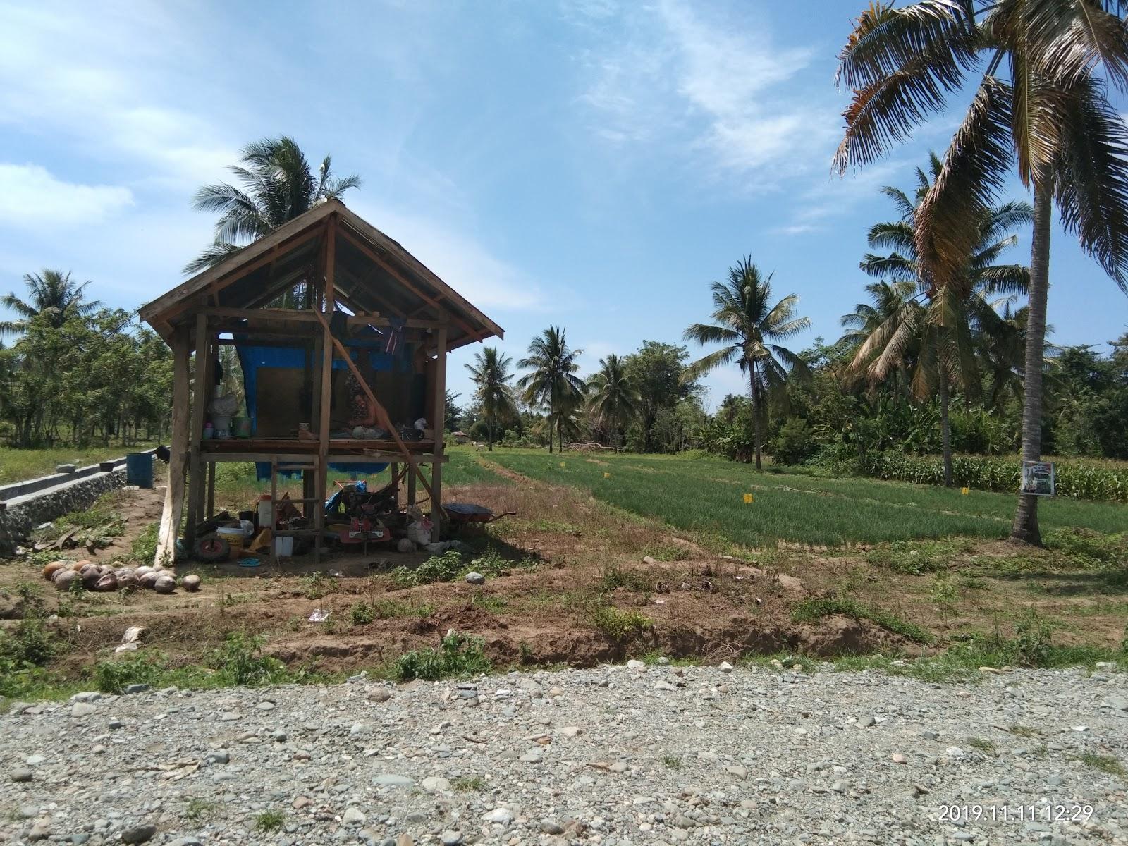 Sandee Gavandlapallem Beach