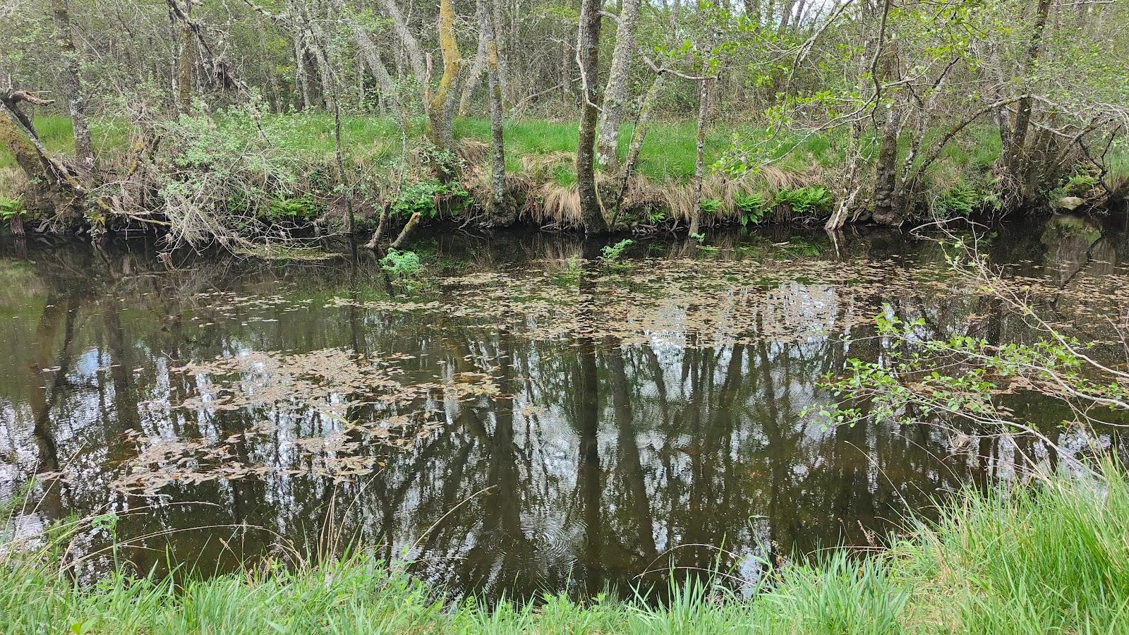 Sandee - Praia Fluvial Da Quinta Da Azenha