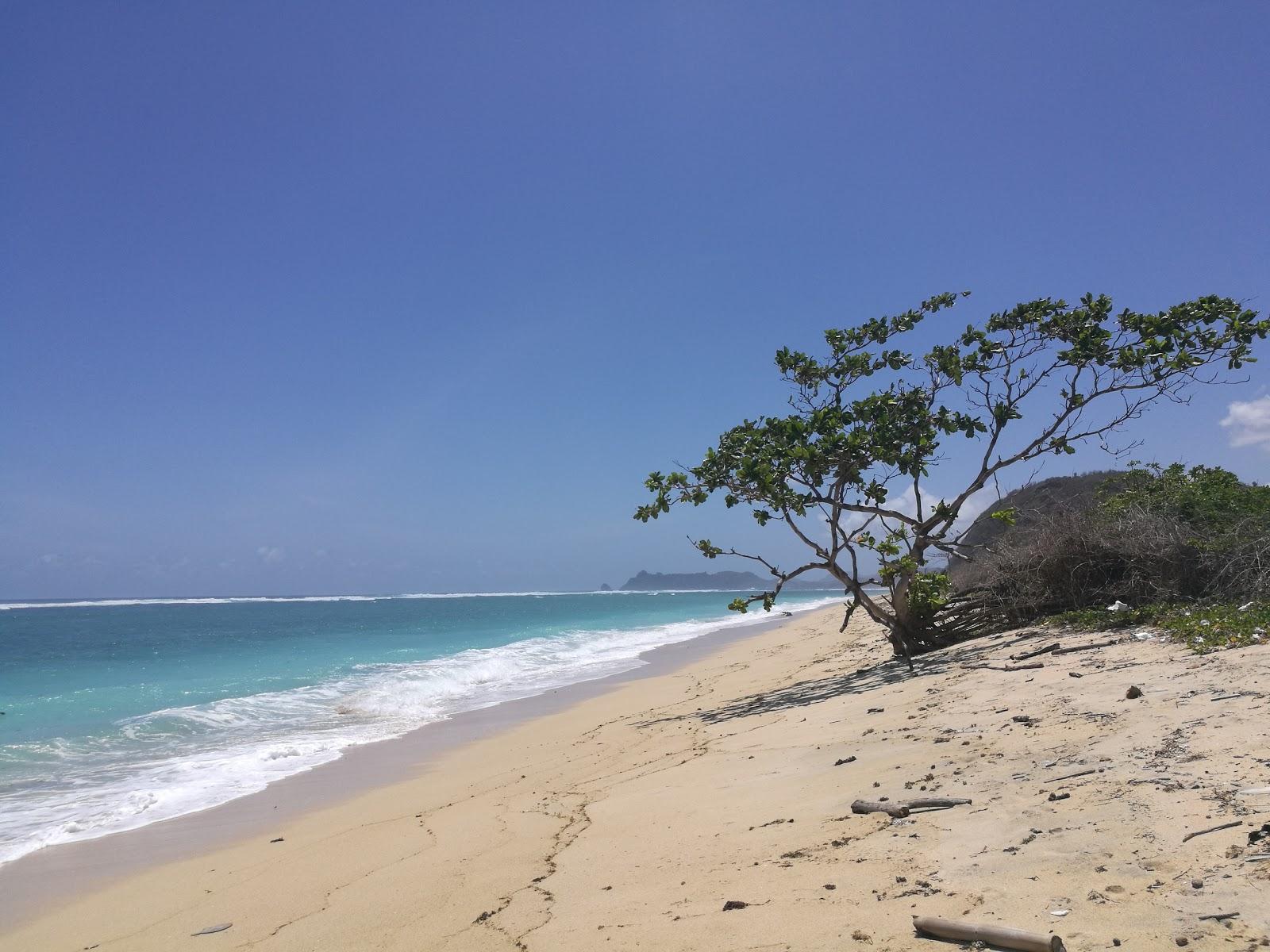 Sandee - Pantai Serangen