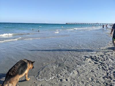 Sandee - Ocean Cay Park