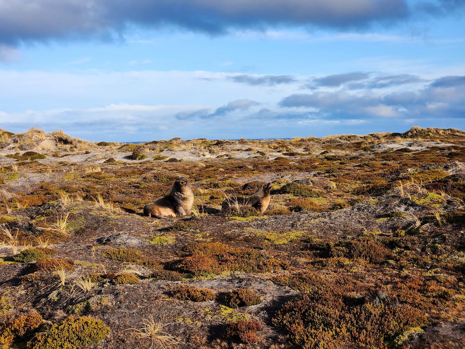 Sandee - Cape Pembroke