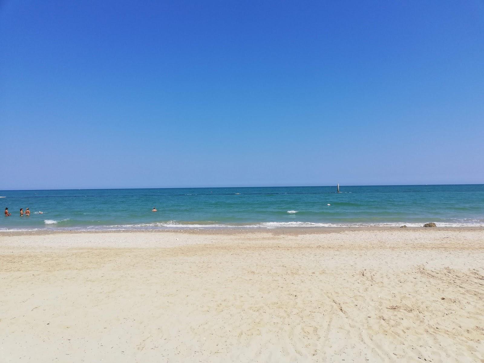 Sandee Dog Beach