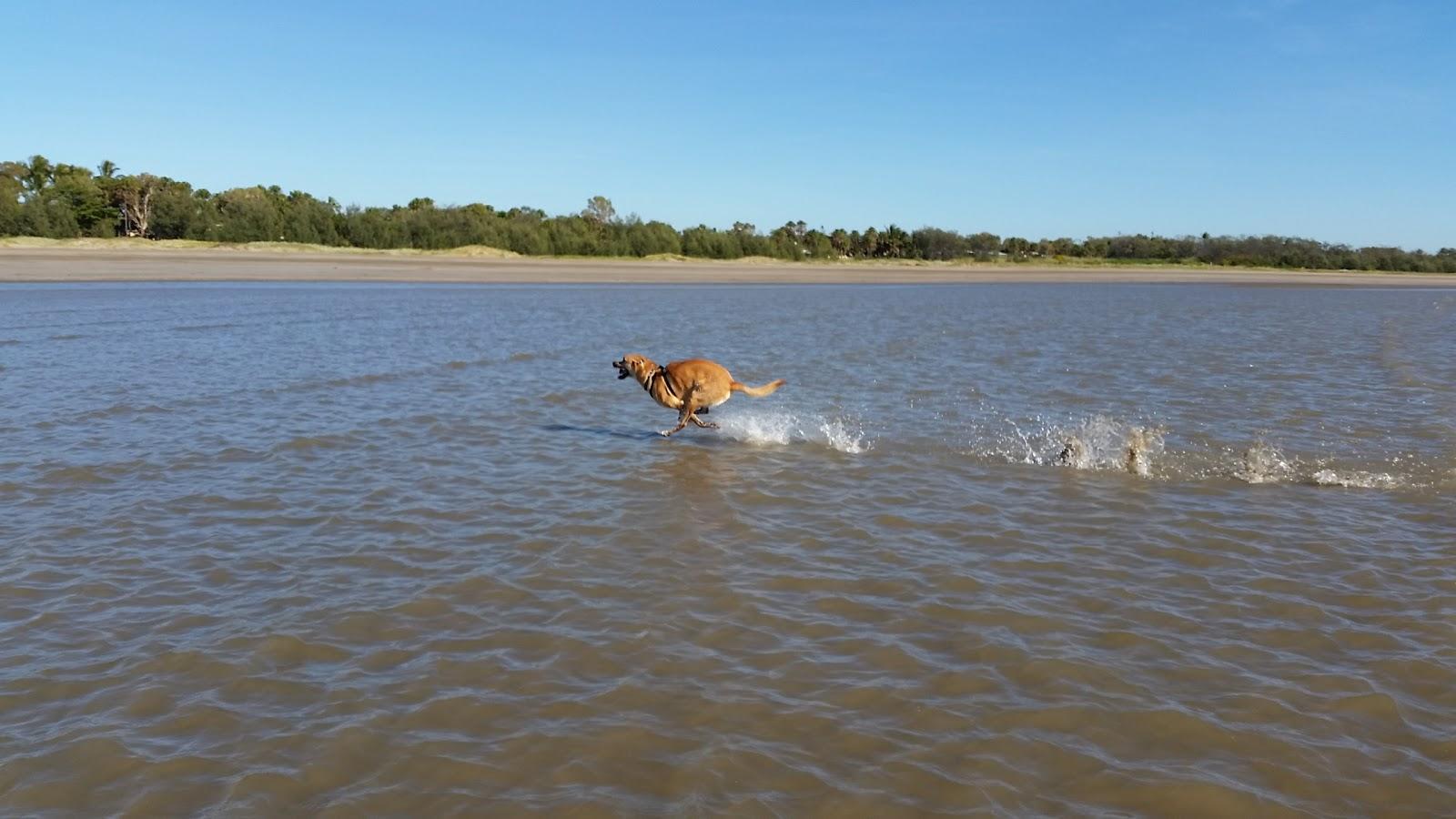 Sandee Kinka Beach Photo