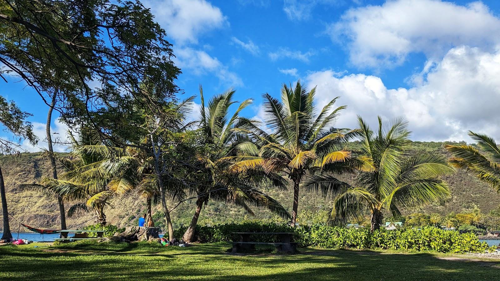 Sandee - Napoopoo Beach