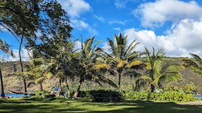 Sandee - Napoopoo Beach