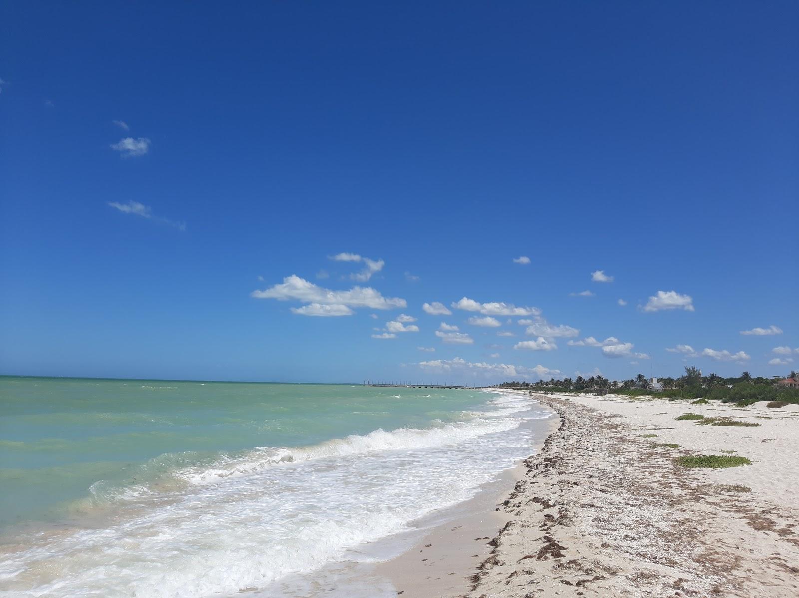 Sandee Sisal Beach
