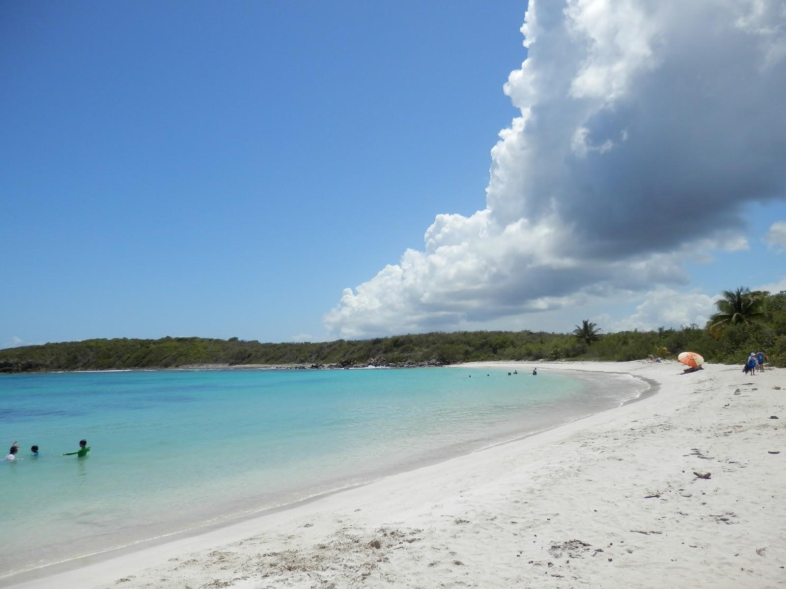 Sandee - Playa Pata Prieta