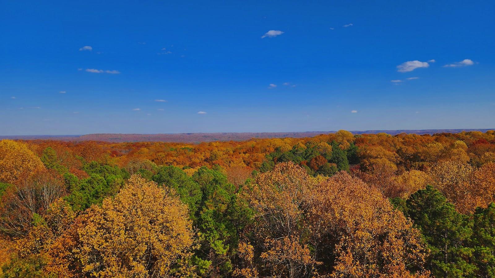 Sandee Hoosier National Forest Photo