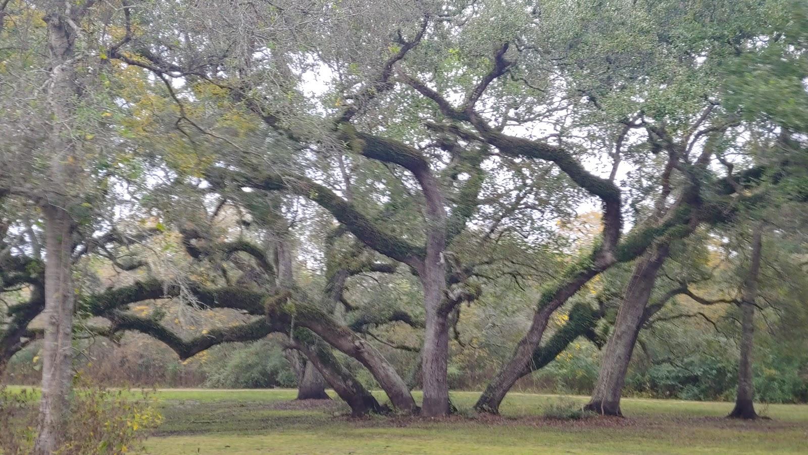 Sandee Justin Hurst Wildlife Management Area