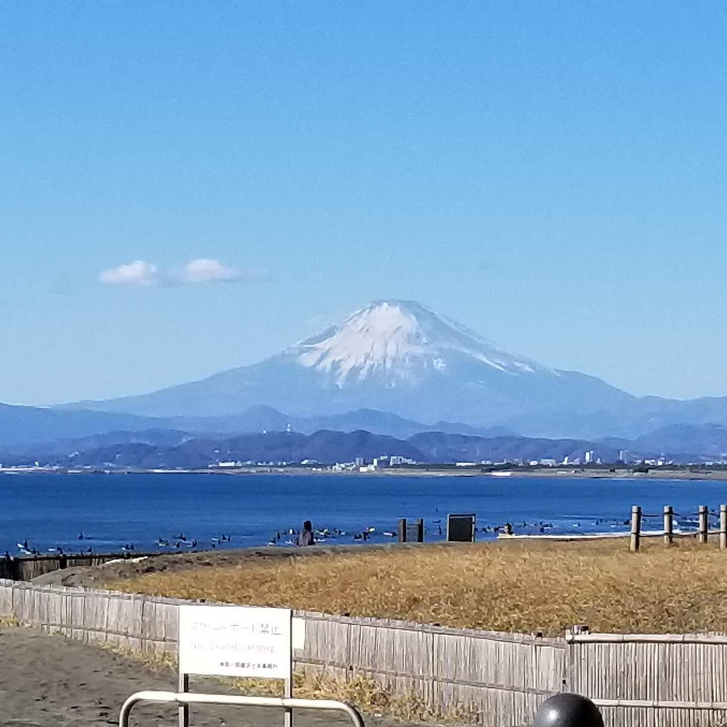 Sandee Shonan Kaigan Park