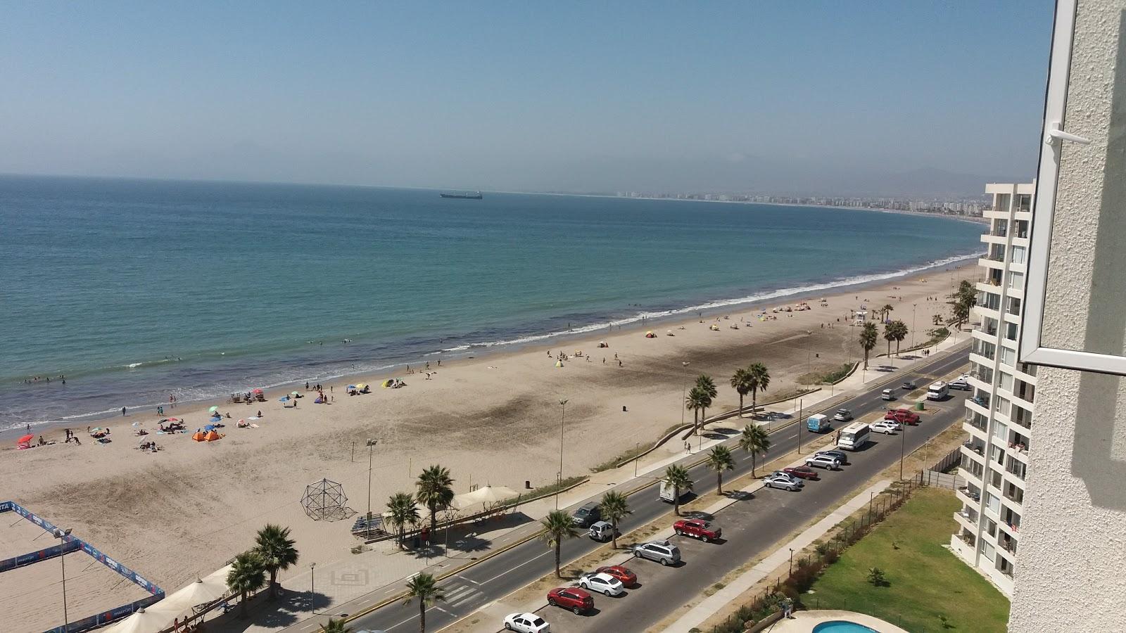 Sandee Playa Coquimbo