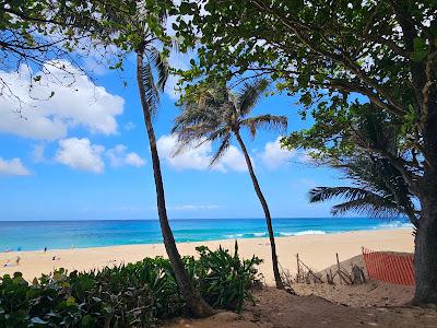 Sandee - Ehukai Beach Park