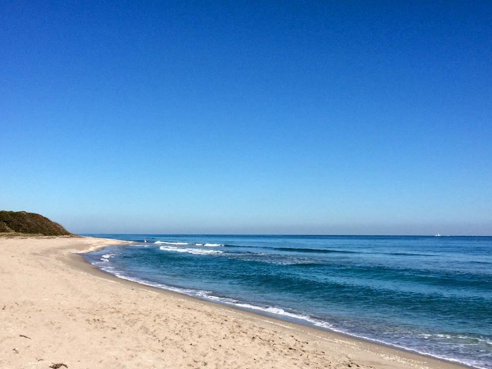 Sandee John D. Macarthur Beach Photo