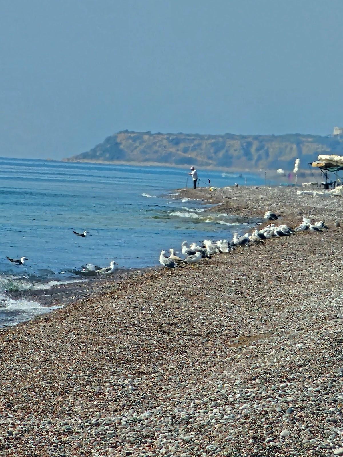 Sandee Elians Beach