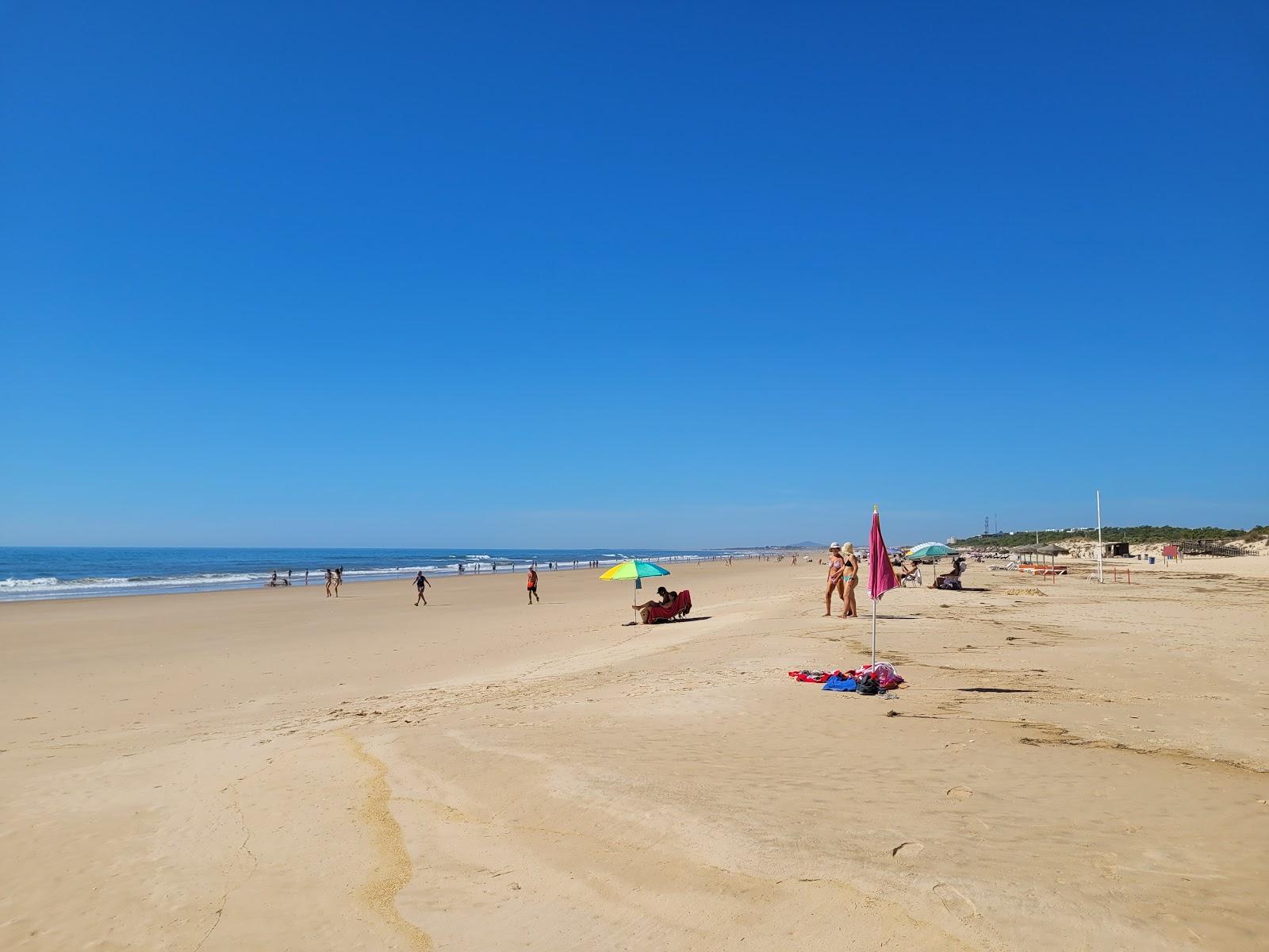 Sandee - Praia Da Cabeca Furada