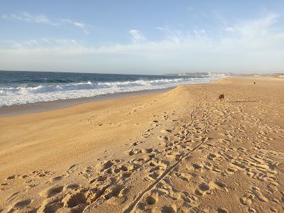 Sandee - Praia Do Salgado