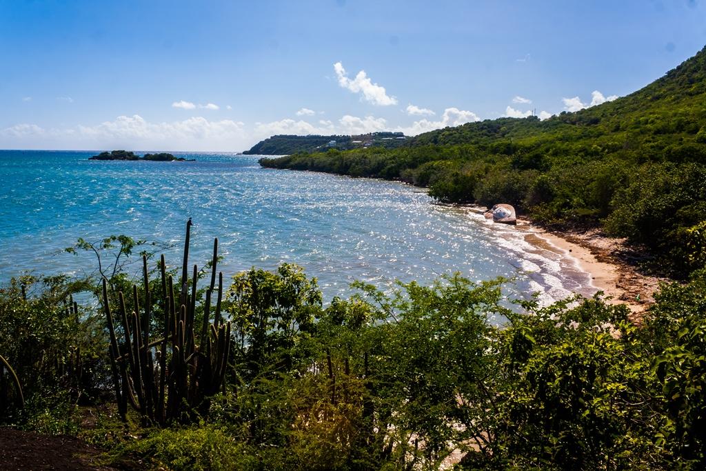 Sandee Cherry Hill Bay Beach Photo