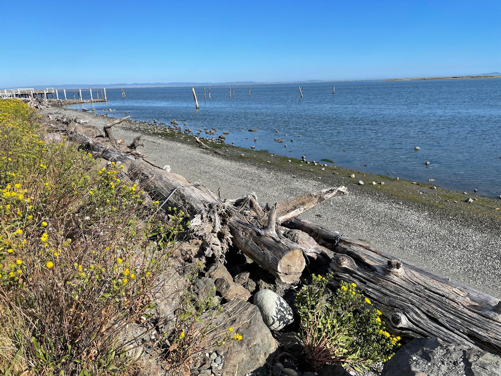 Sandee Dungeness Bay Boat Launch Photo