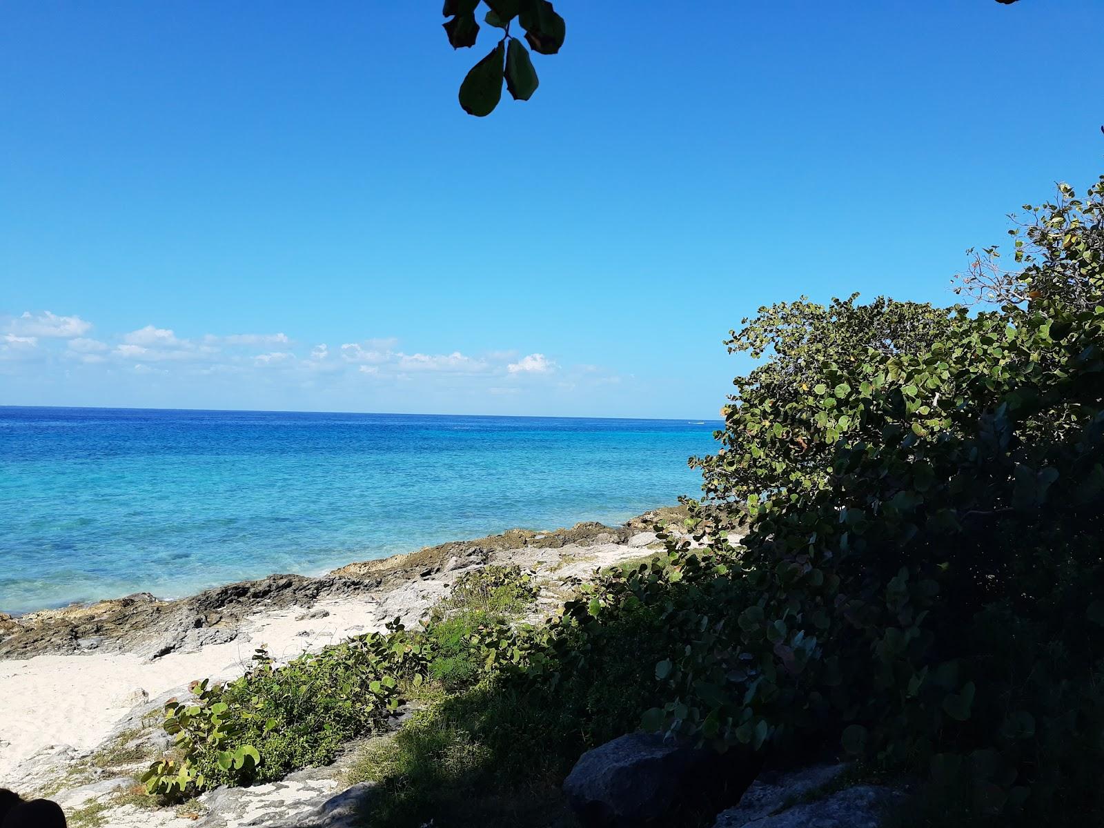 Sandee Playa Las Rocas