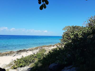 Sandee - Playa Las Rocas