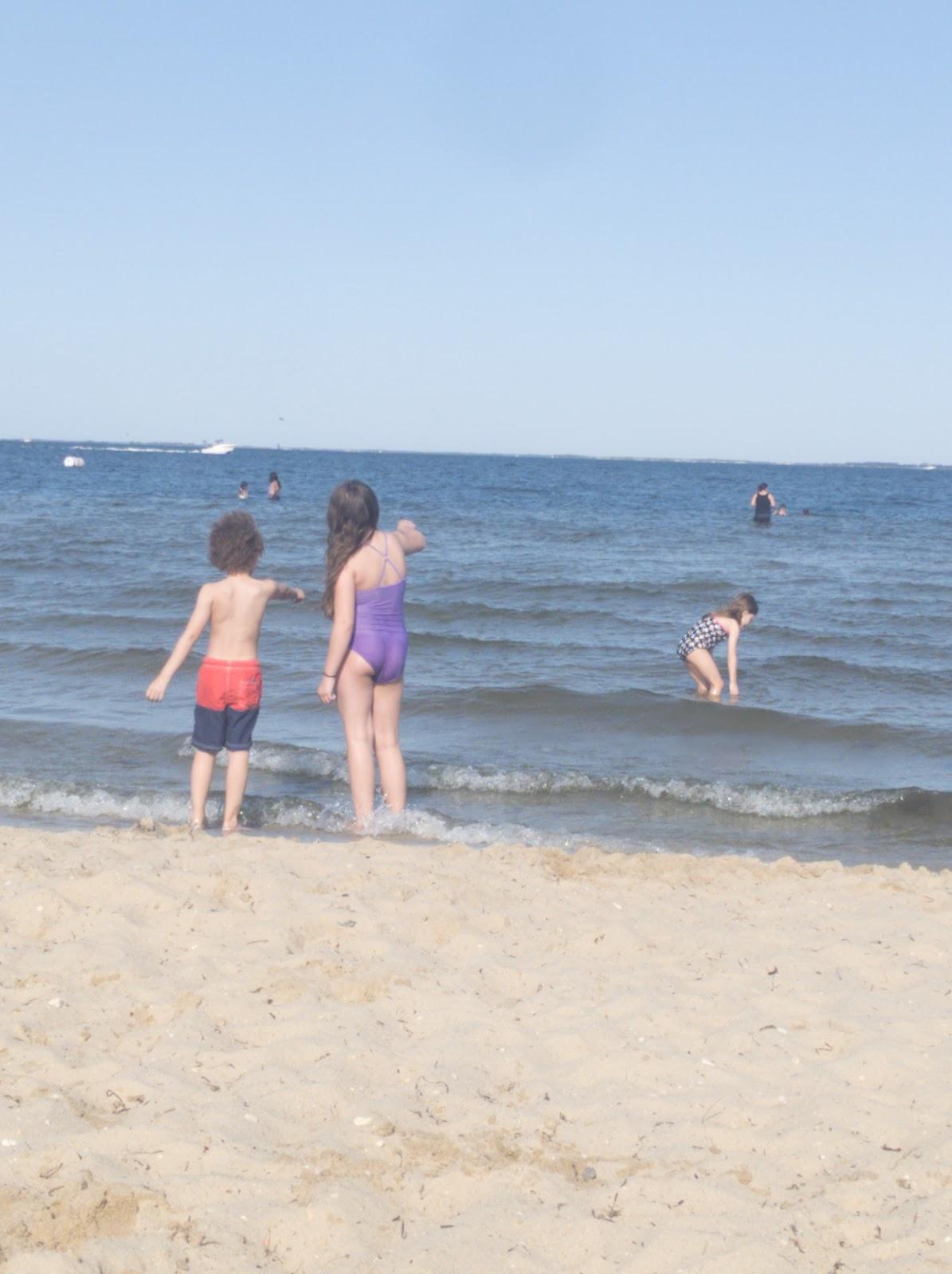 Sandee Shore Beach