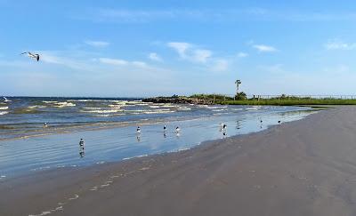 Sandee - El Jardin Beach