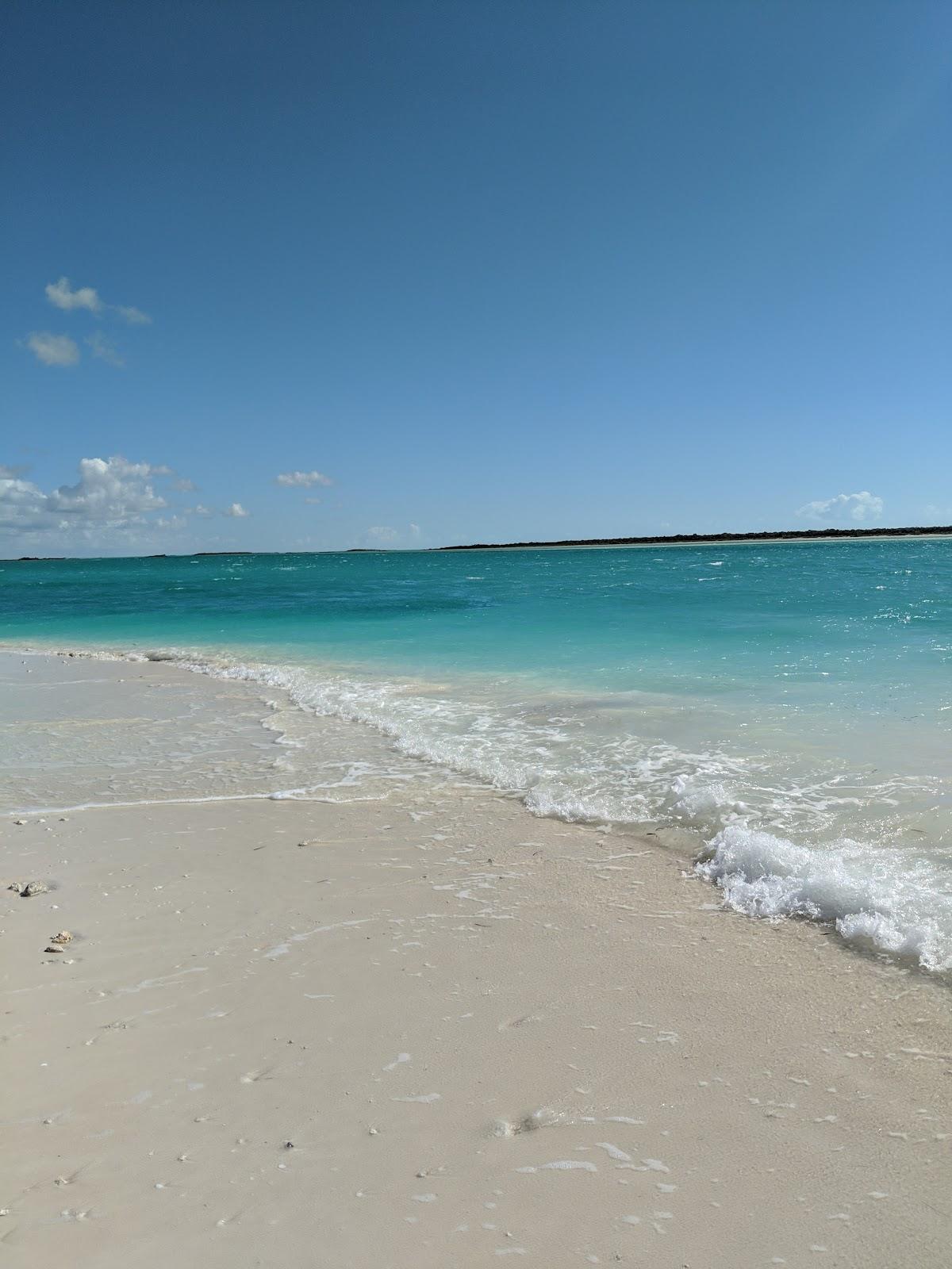Sandee Dellis Cay