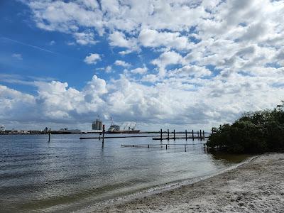 Sandee - Davis Islands Beach