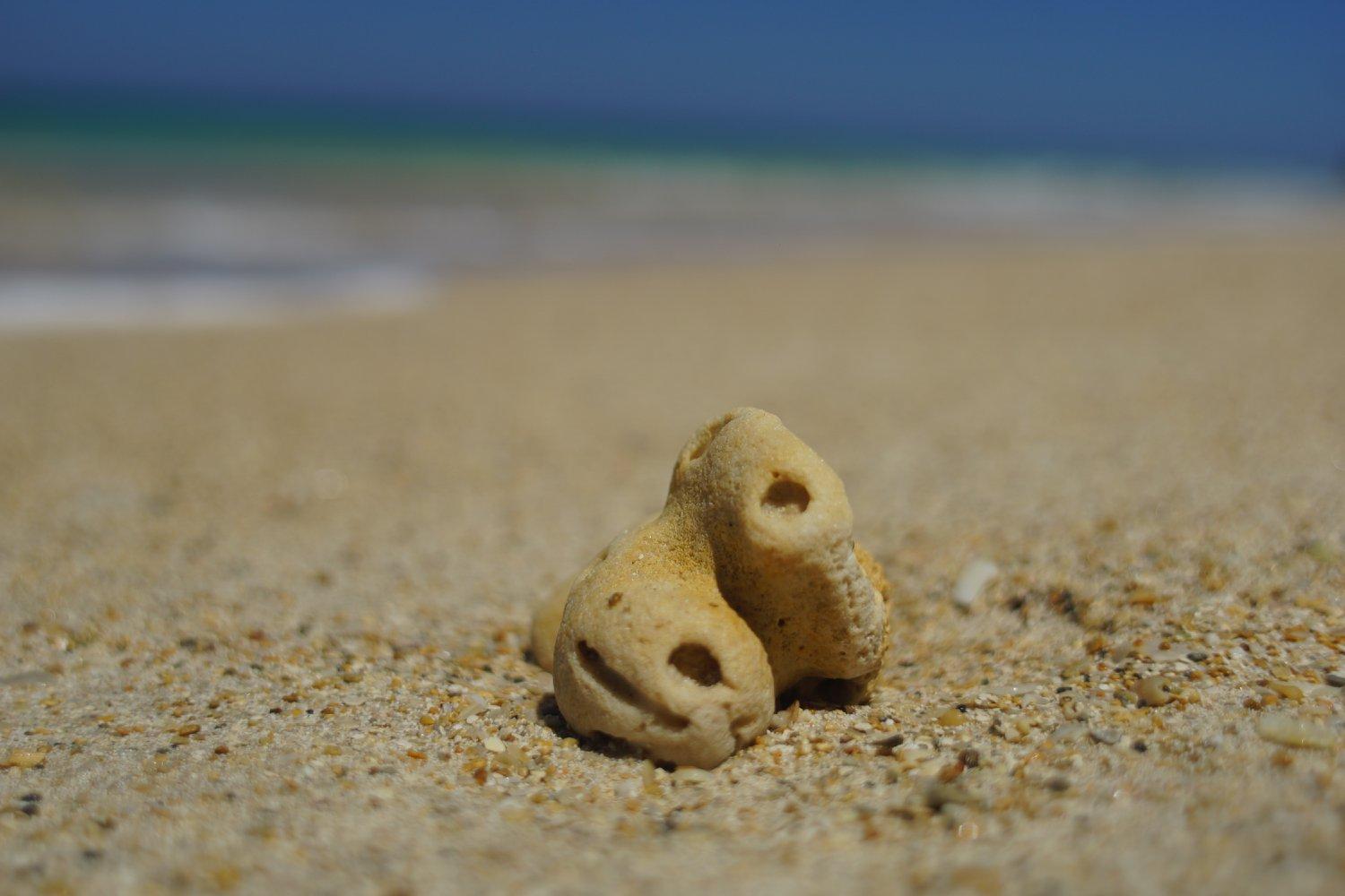 Sandee Playa Pescandero
