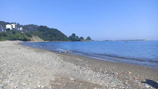 Sandee Tirebolu Uzunkum Plajı Photo