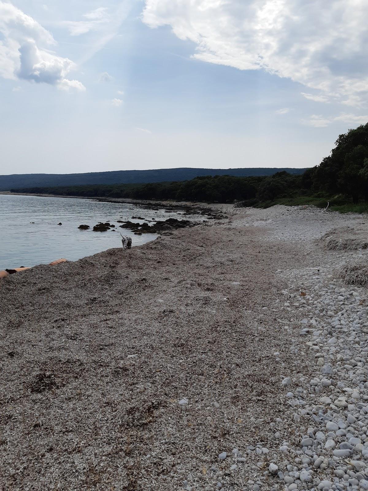 Sandee Tarej Mini Beach