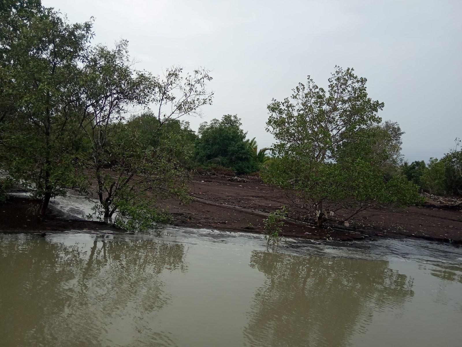 Sandee Pantai Senyum Teritip