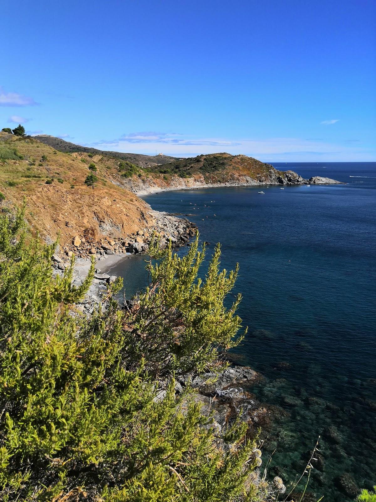 Sandee Plage Du Sana
 Photo