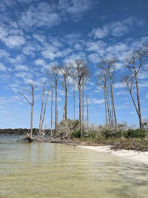 Sandee - Galvez Landing