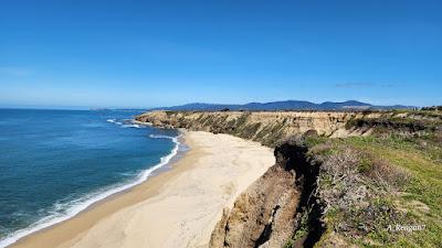 Sandee - Cowell Ranch Beach