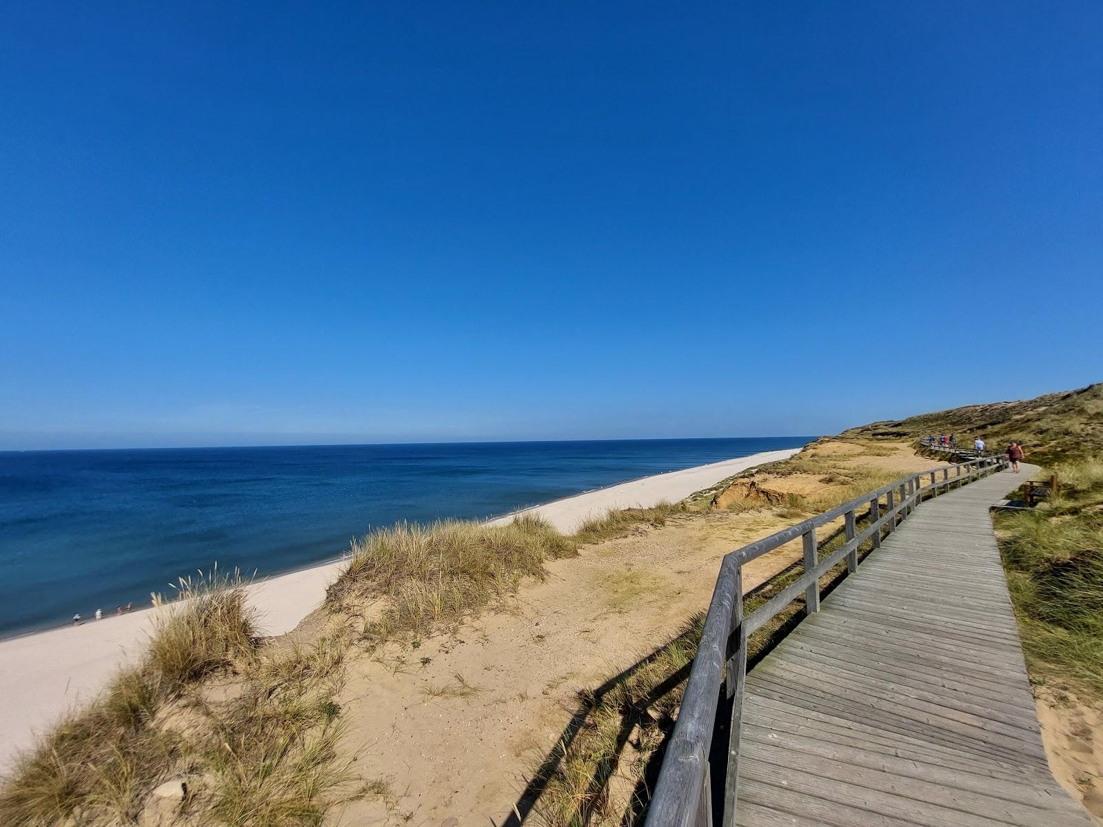 Sandee Hundestrand Rotes Cliff