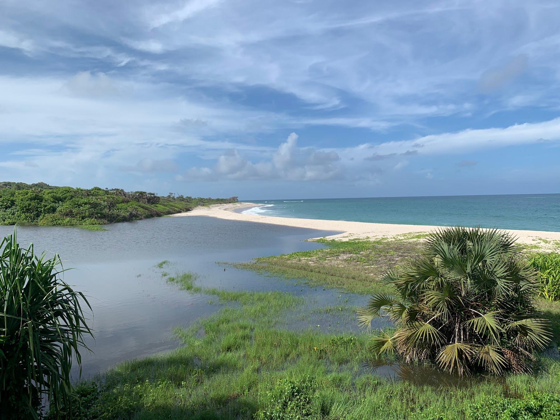 Sandee Ras Kutani Beach