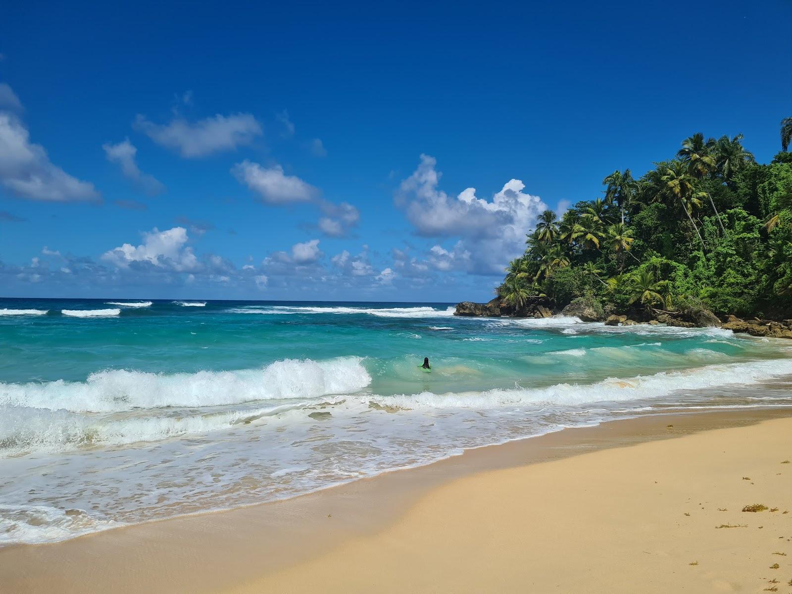 Sandee Playa Grande