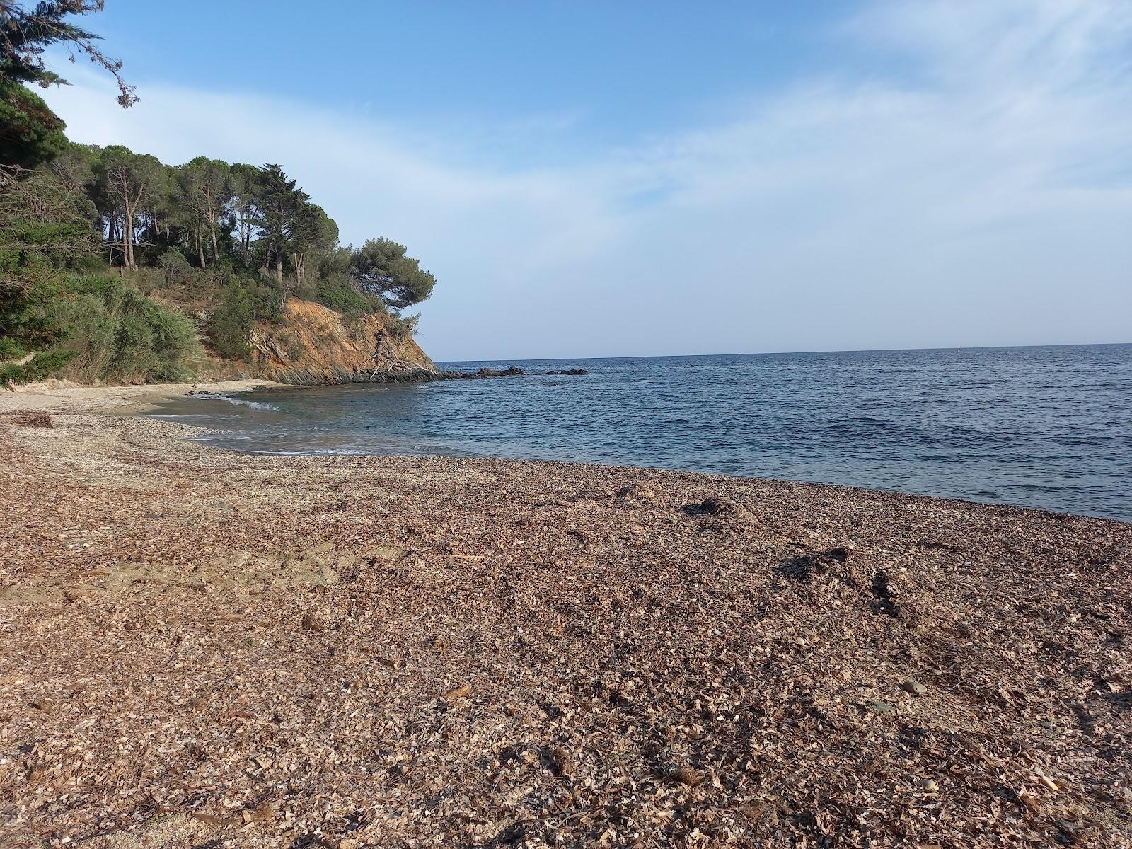 Sandee Plage Du Vergeron Photo