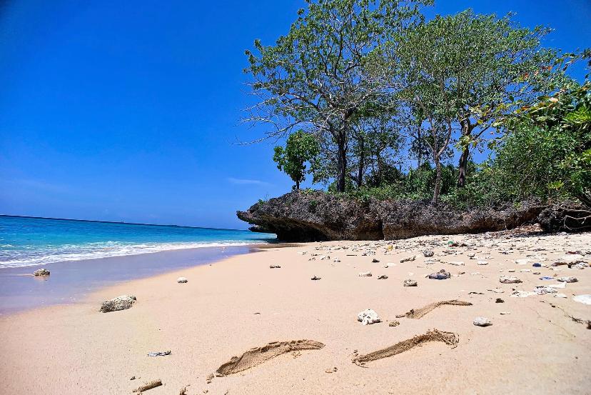 Sandee Alswar Beach