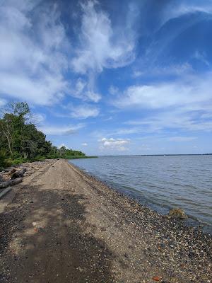 Sandee - Deemers Beach