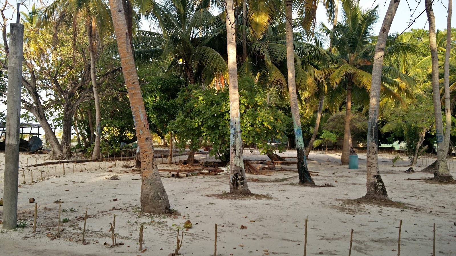 Sandee Dharanboodhoo