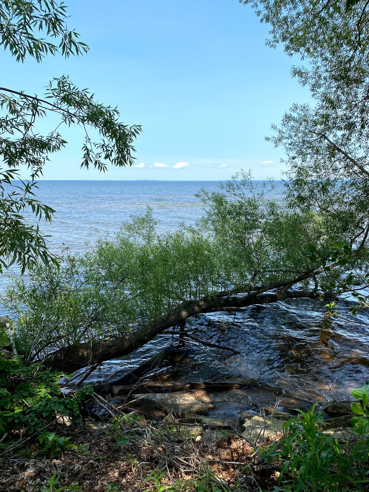 Sandee Michaelis Park Beach