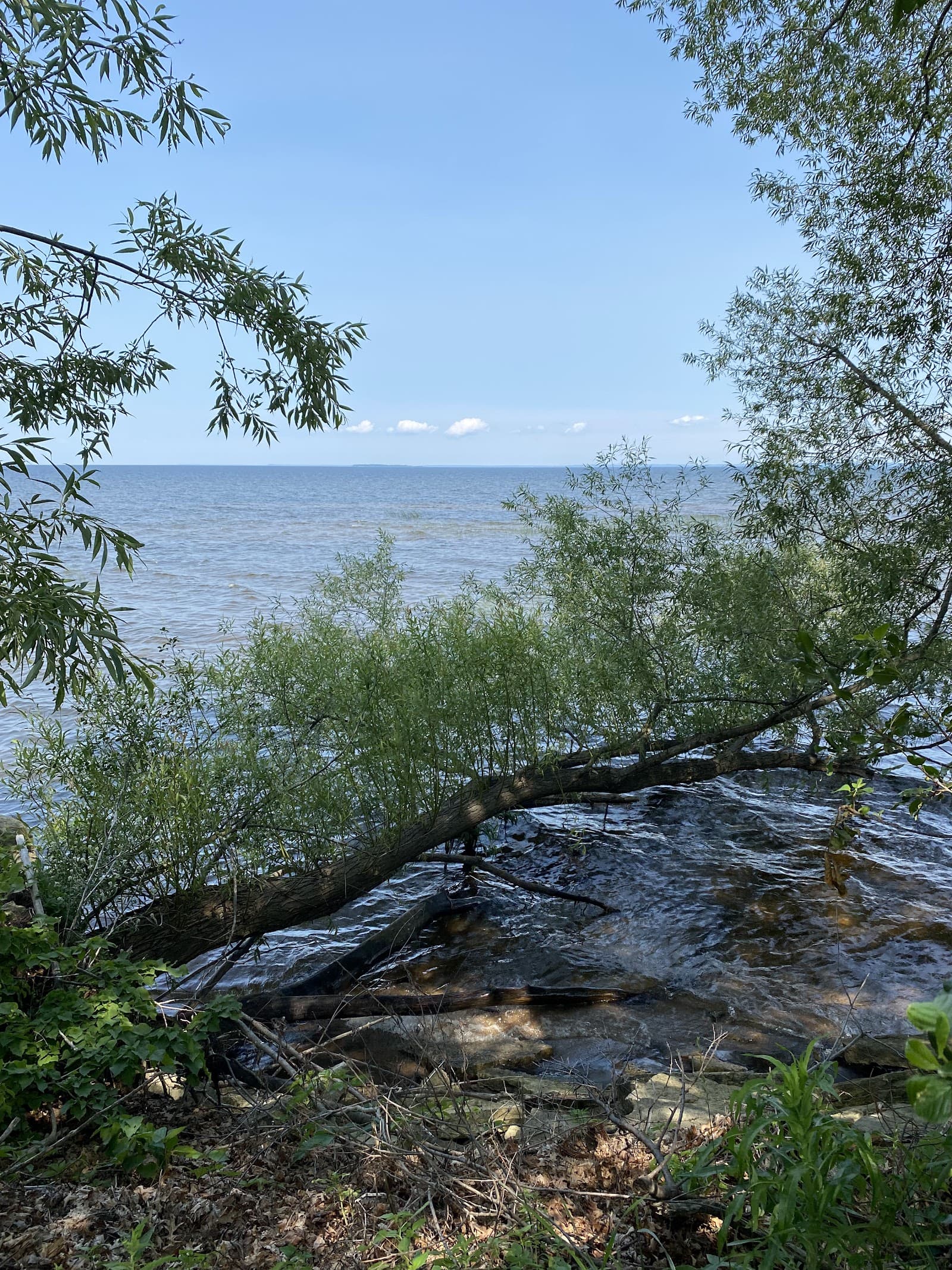 Sandee Michaelis Park Beach Photo