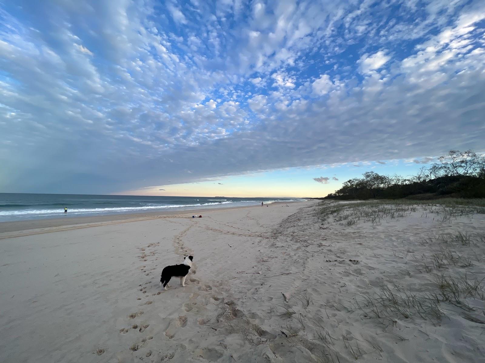 Sandee Wooyung Beach Photo