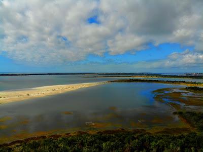 Sandee - Carrot Island